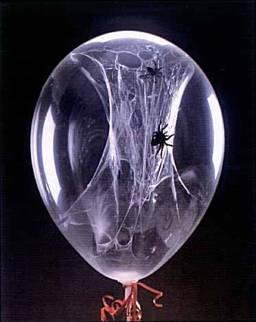 spiderweb balloon