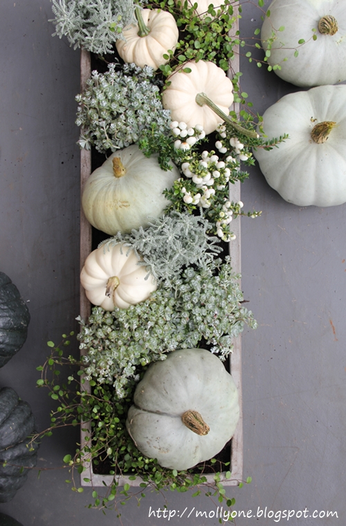 Muted greys and blues in this natural plant and pumpkin Thanksgiving centerpiece