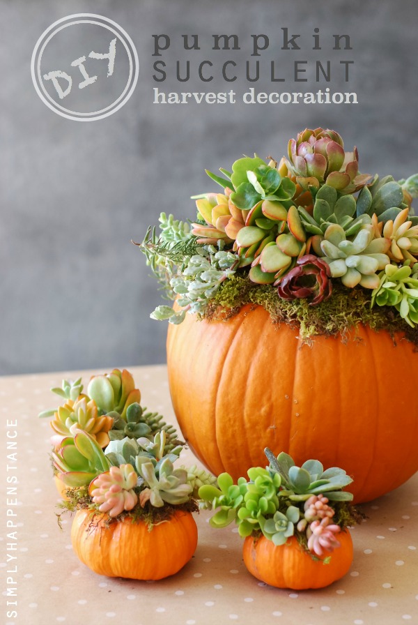 succulent floral Thanksgiving centerpiece