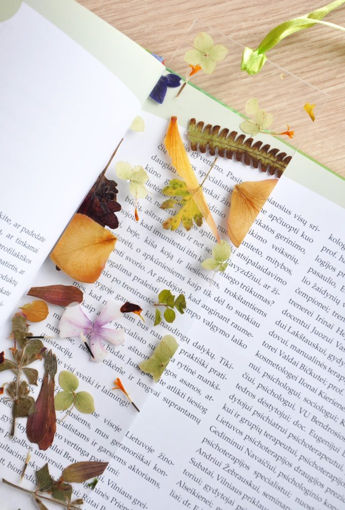 pressed flower bookmarks tutorial
